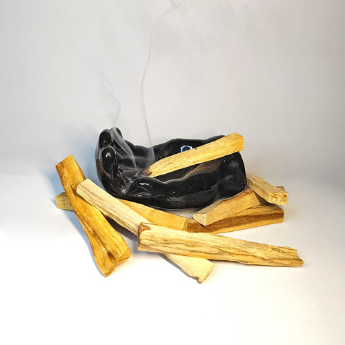 Palo Santo - Lemn Sfânt - 30gr